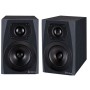 اسپیکر مانیتورینگ آیکن Icon PX-T8A G2