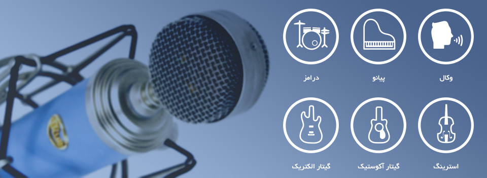 میکروفون بلو Blue Bluebird